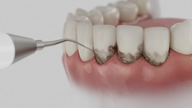 Reliable Dental contractor in Mansura, LA by Dentist Open Now